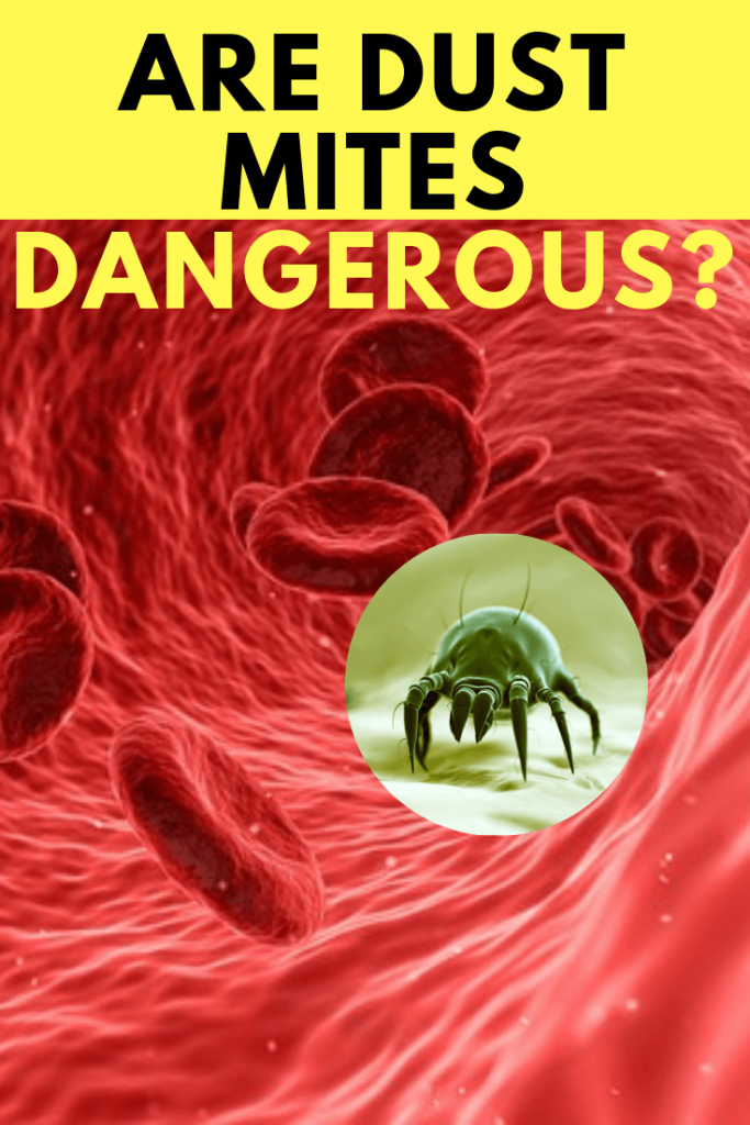 are dust mites dangerous to human health
